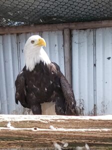 295870928_800571084271793_1845248149431737226_n