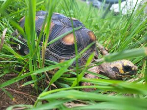 362627768_1281813272702021_6595989633352623554_n (1)