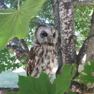 364173156_835611121518735_1616972292394979142_n