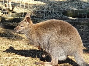 429910997_1140867937360918_5578081408934475978_n