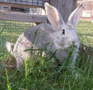 IMAGE_1624667289989_1246978983253522665